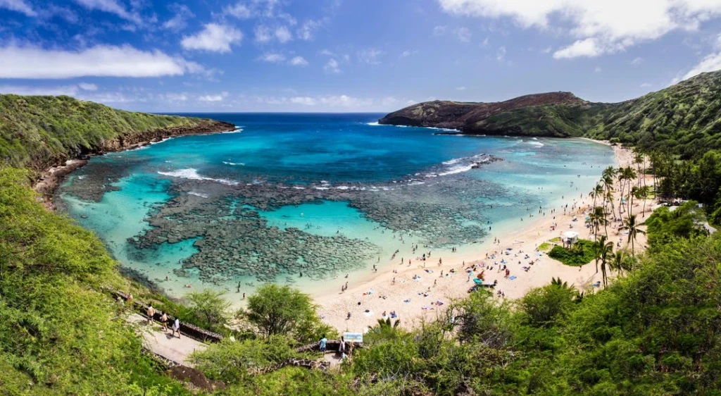 Тропічна бухта з бірюзовою водою, коралами й пляжем під скелястими берегами